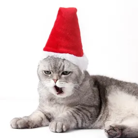 3D Christmas Santa Hat for Cat