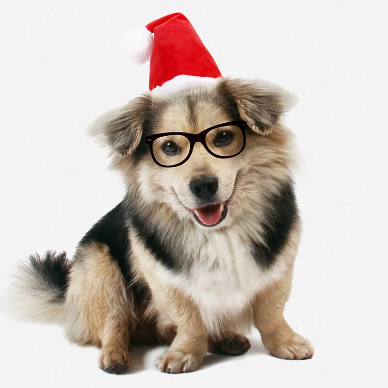 3D Christmas Santa Hat for Dog