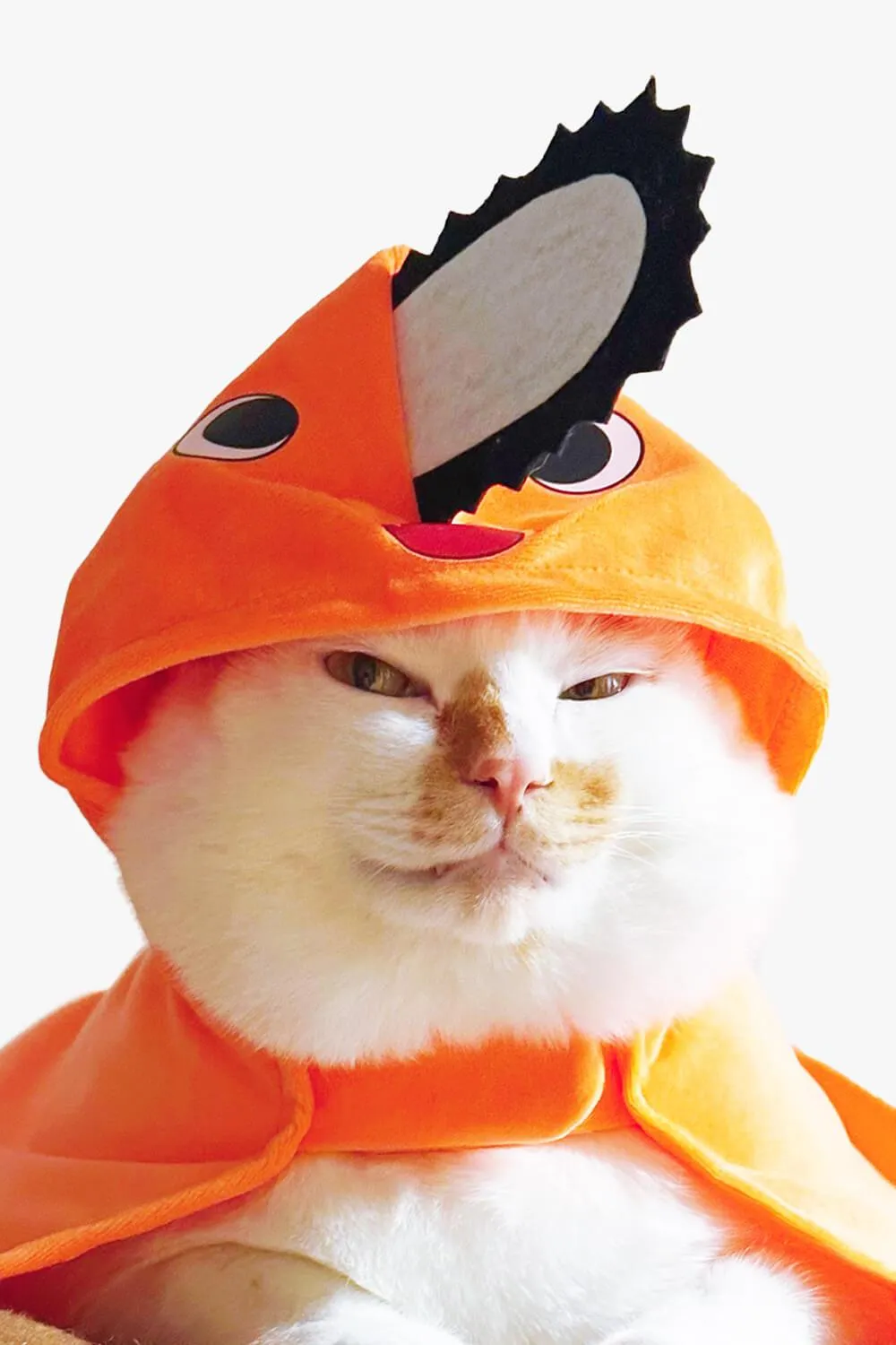 Chainsaw Man Pochita Pet Costume Cat and Dog
