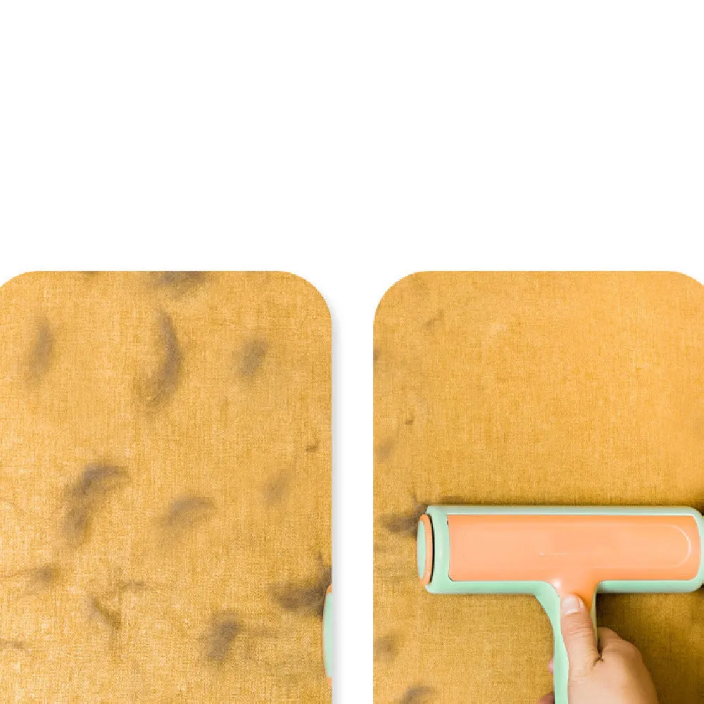 Cleaning Pet Hair Remover