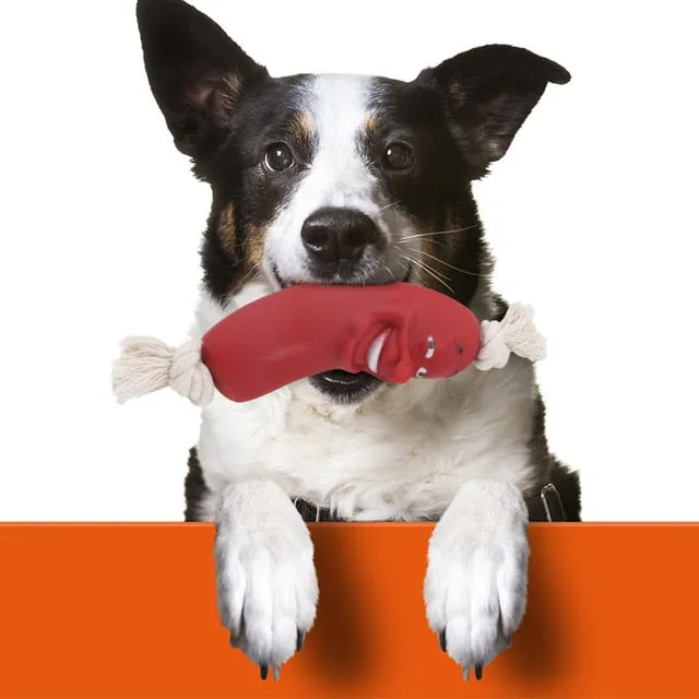 Dental Care Dog Pet Puppies