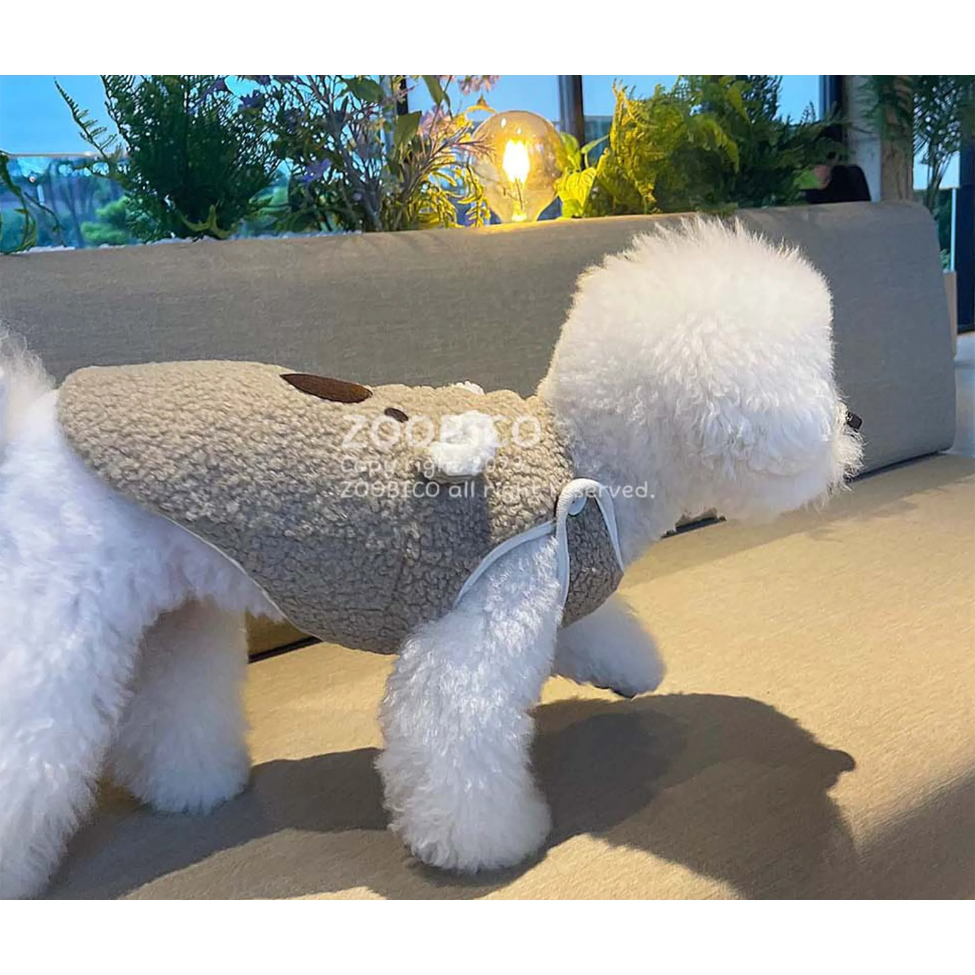 Dog Pet Wear | Bear Vest  | 正價