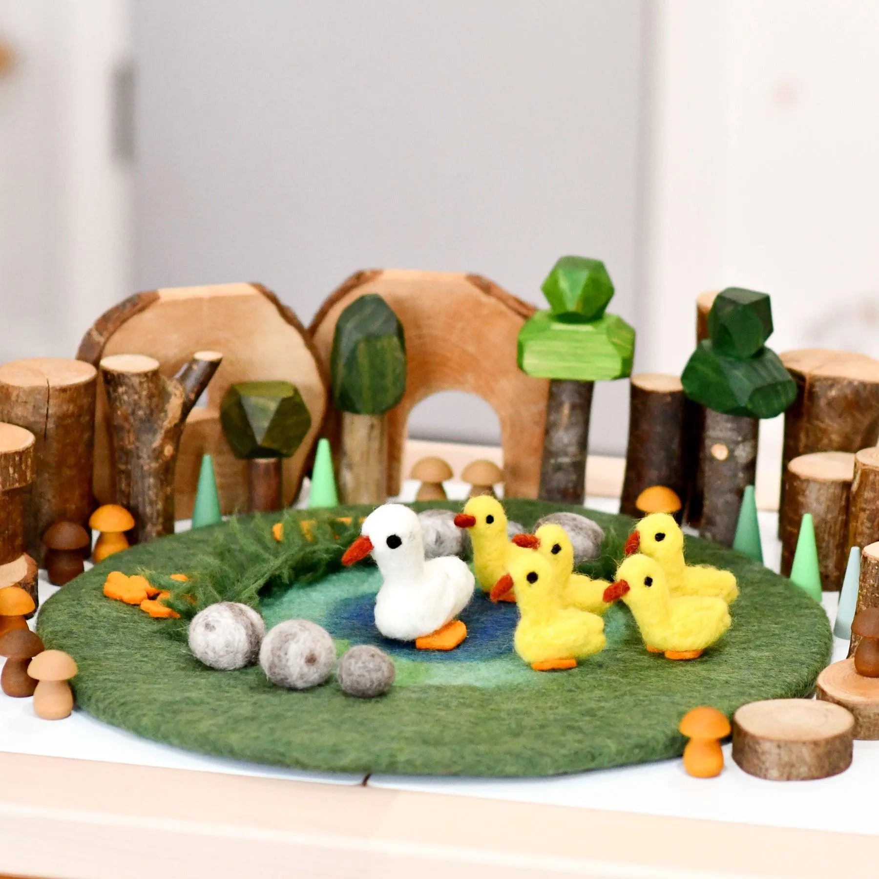 Duck Pond with 6 Ducks Play Mat Playscape