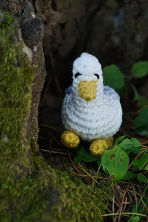 DUCK