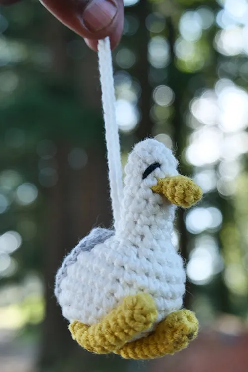 DUCK