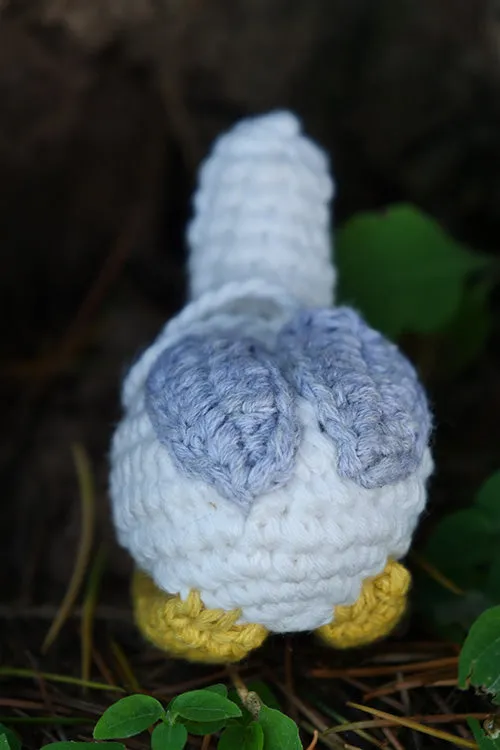 DUCK