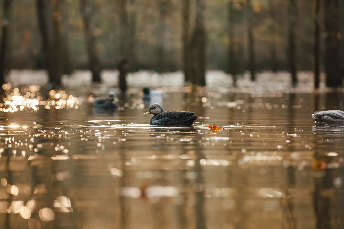 Flight Flocked Black Duck