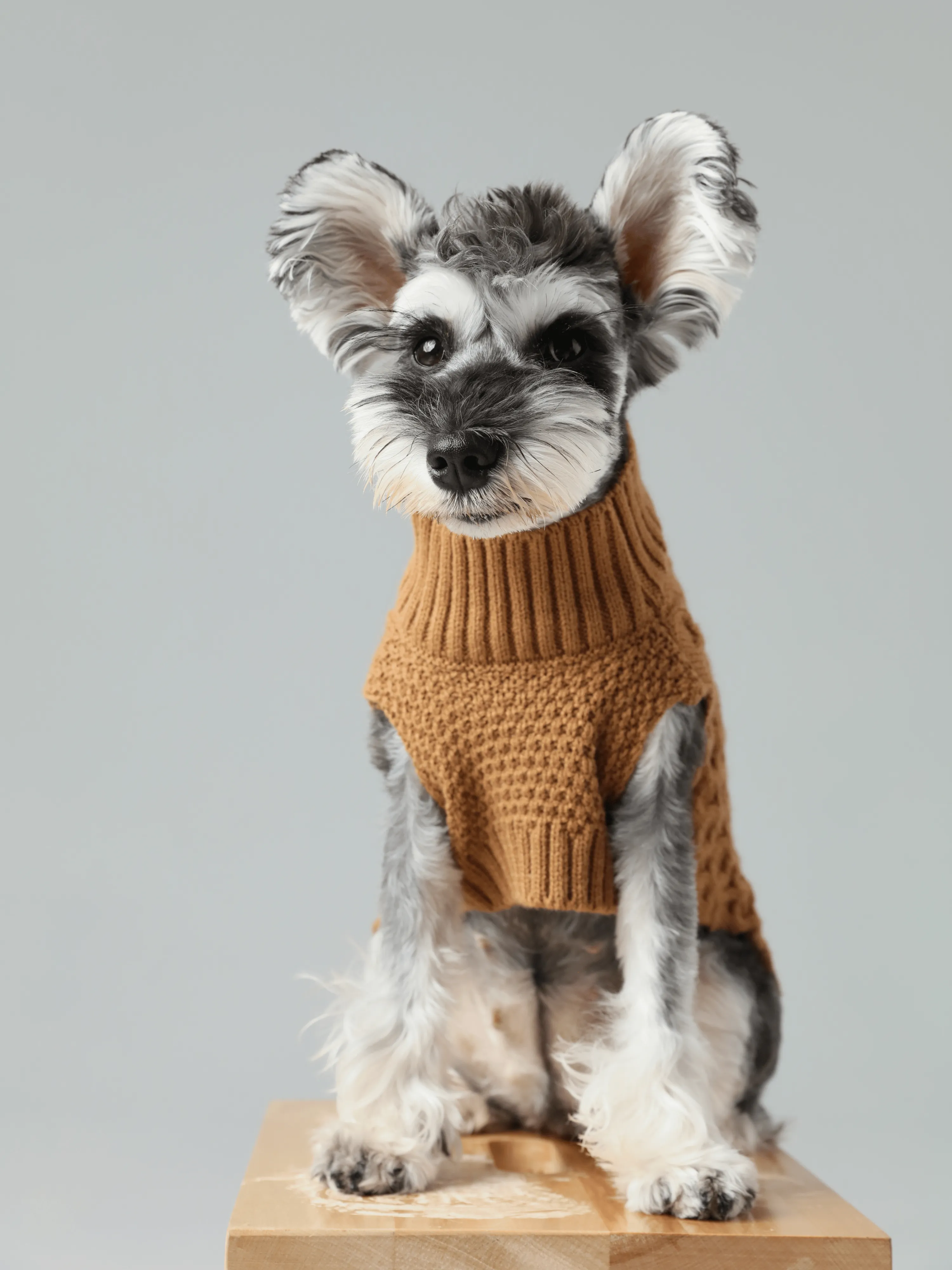 Pet Sweater Vest - Toffee Orange